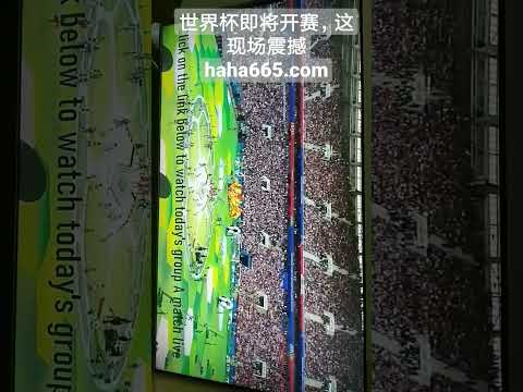 杭州亚残运,会女子盲人,门球决赛中,PG电子官网,PG电子试玩,PG电子模拟器,PG电子平台,PG电子下载